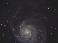 M101