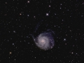 M101
