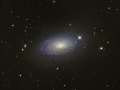 M63