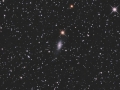 NGC7013