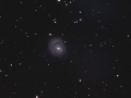 NGC1637