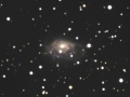 NGC1961