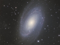 M81