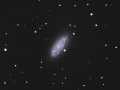 NGC2976