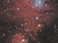 NGC2264
