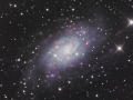 NGC2403
