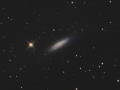 NGC6503