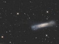 NGC3628