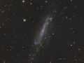 NGC4236