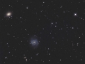 NGC1042