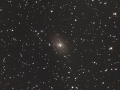 NGC1169
