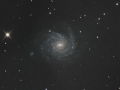 NGC1232