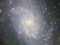 M33