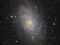 M33