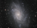 M33