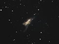 NGC520